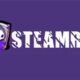 steamrip